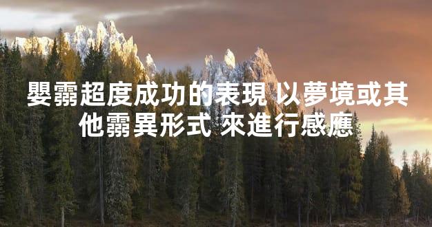 嬰霛超度成功的表現 以夢境或其他霛異形式 來進行感應